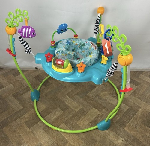 Baby einstein curiosity - baby,